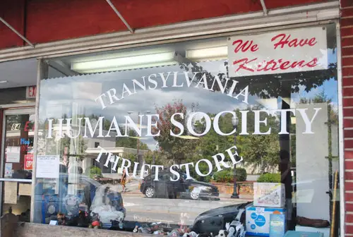 Brevard Humane Society Vento