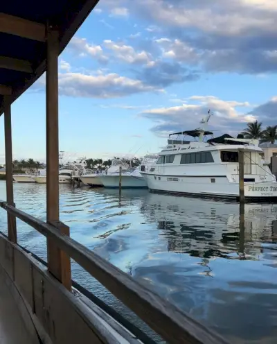 Andere boten in de jachthaven van Lighthouse Point Florida