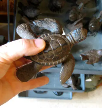 Strandschildpad
