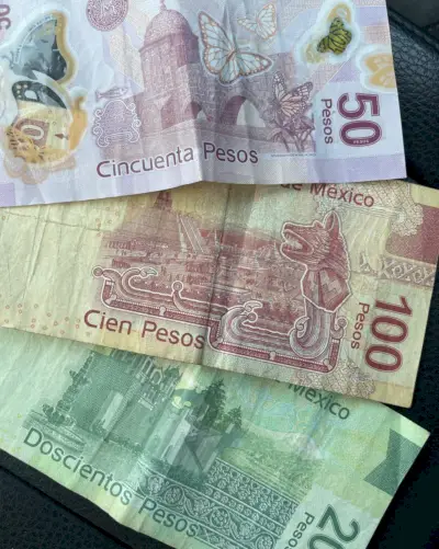 Mexicaanse Pesos Contant Voor Reizigers