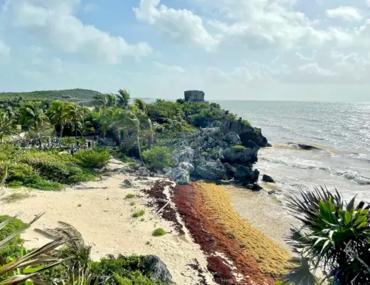Tulum Maya-ruïnes strand met opbouw van Sargassum-algen