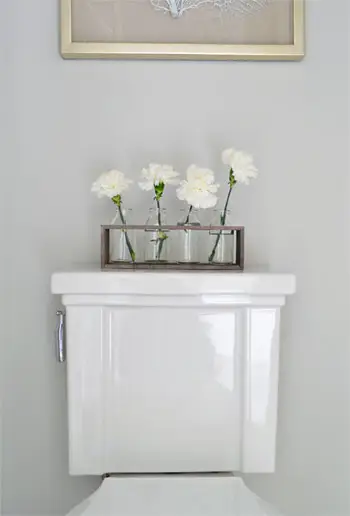SMBadtoilet