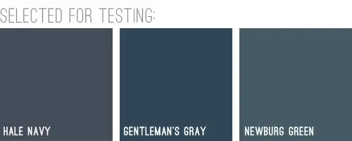 BlueHouse 세 가지 색상 선택