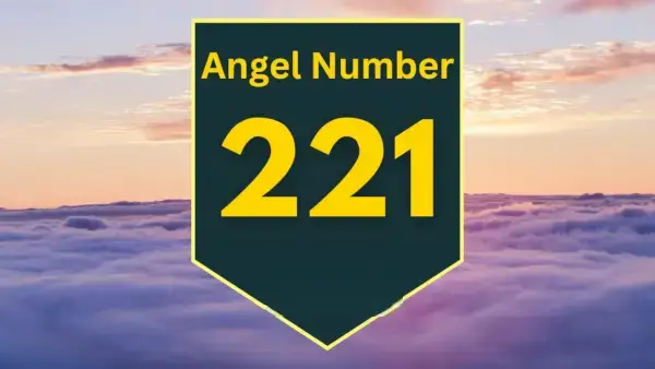 천사 번호 221 의미와 의미