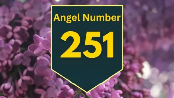 Angelo numerio 251 prasmė ir reikšmė