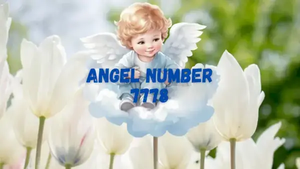 Anjo Número 7778 Significado e Significado