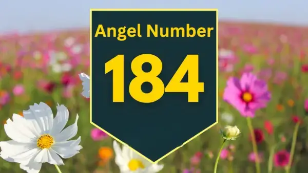 Angelo numero 184 Significato e significato
