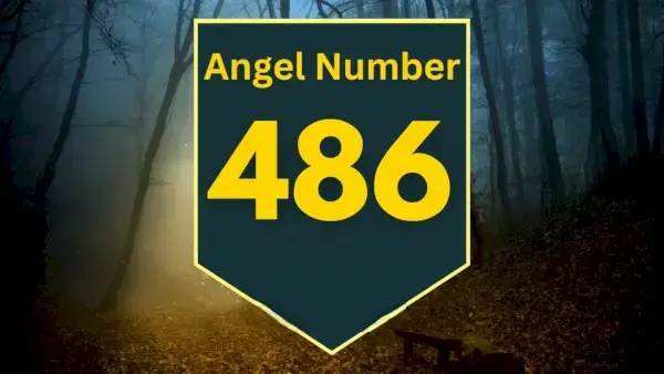 Engel nummer 486 Betydning og betydning