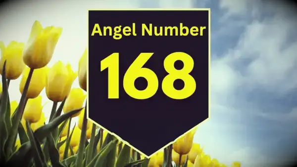 Engel nummer 168 Betekenis en betekenis