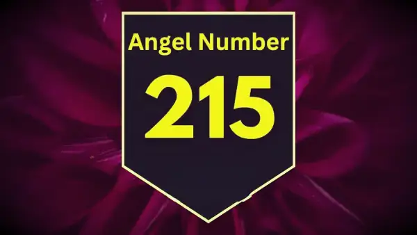 Significado e importância do anjo número 215