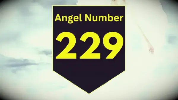 Angelo numero 229 Significato e significato