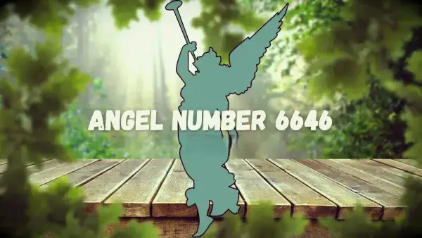 Nummer 6646 Betekenis en betekenis