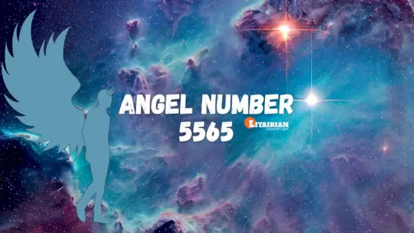 Numărul de înger 5565 Semnificație și semnificație