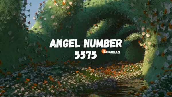 Nummer 5575 Betekenis en betekenis
