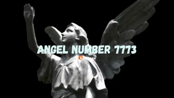 Nummer 7773 Betekenis en betekenis