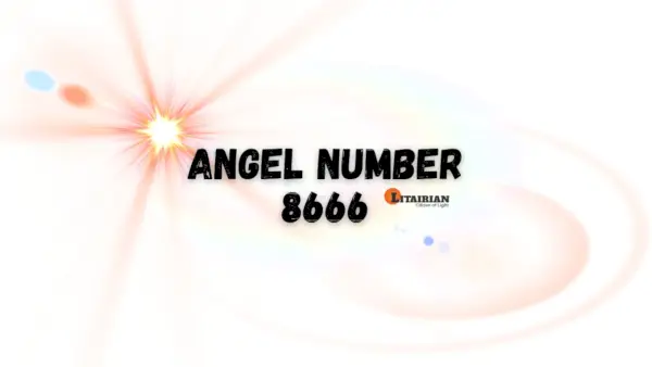 الملاك رقم 8666 المعنى والأهمية