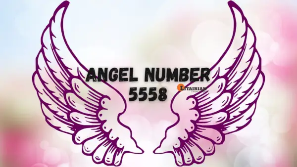 천사 번호 5558 의미와 의미