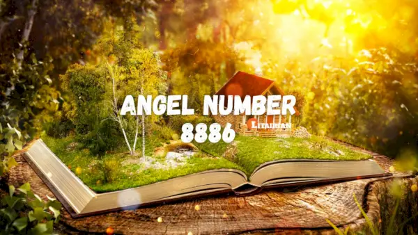 Bedeutung und Bedeutung des Engels Nummer 8886