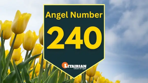 Engel nummer 240 Betekenis en betekenis