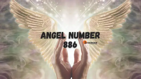 천사 번호 886 의미와 의미