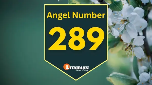 Анђеоски број 289 Значење и значај