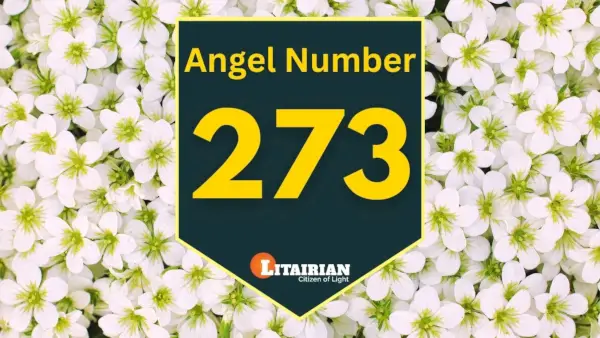 Significado e importância do anjo número 273
