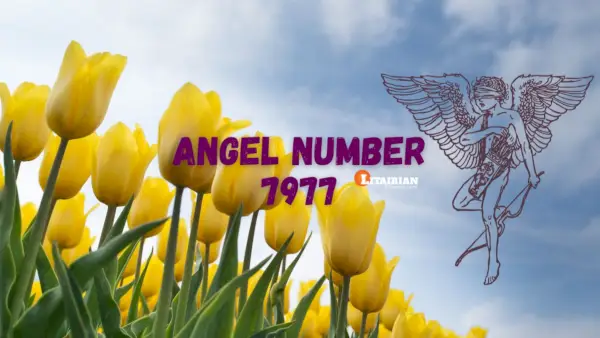 Significado e importância do anjo número 7977