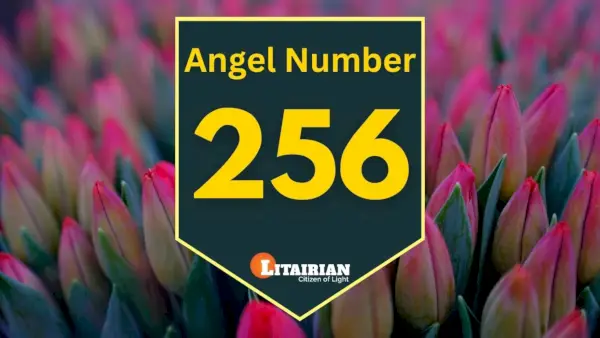 Anděl číslo 256 Význam A Význam
