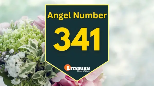 Engel nummer 341 Betekenis en betekenis