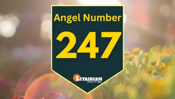 Engel nummer 247 Betydning og betydning