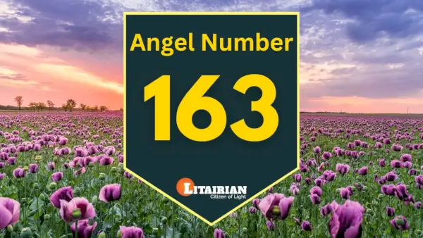 Angelo numerio 163 reikšmė ir reikšmė