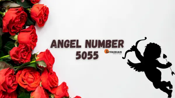 Engel nummer 5055 Betekenis en betekenis