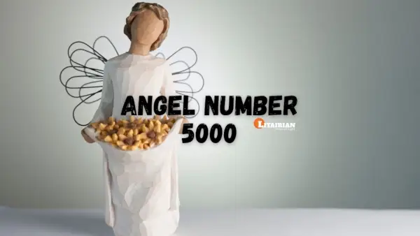 천사 번호 5000 의미와 의미
