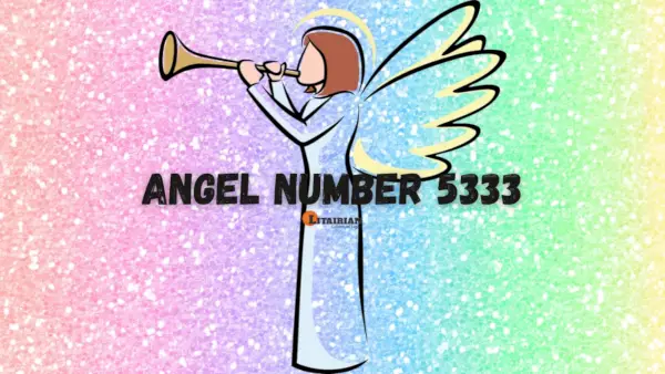 Significado y significado del número de ángel 5333