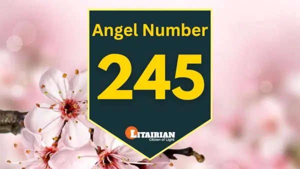 Engel nummer 245 Betekenis en betekenis