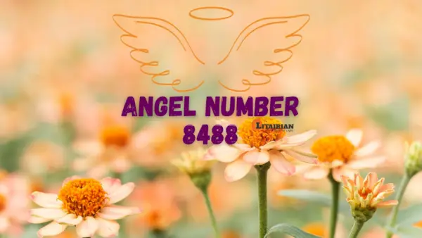 Anjelské číslo 8488 Význam a význam