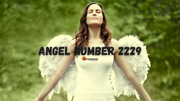 Engel nummer 2229 Betekenis en betekenis