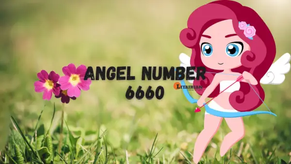 Nummer 6660 Betekenis en betekenis