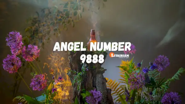 Angyalszám 9888 Jelentése és jelentősége