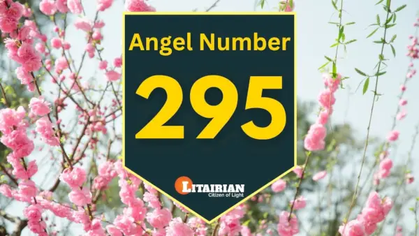 الملاك رقم 295 المعنى والأهمية
