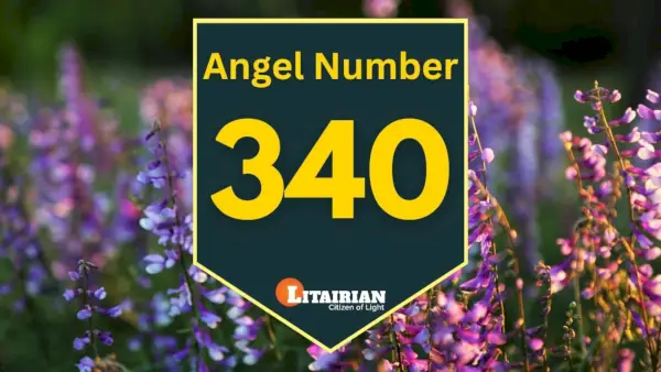 Engel nummer 340 Betydning og betydning