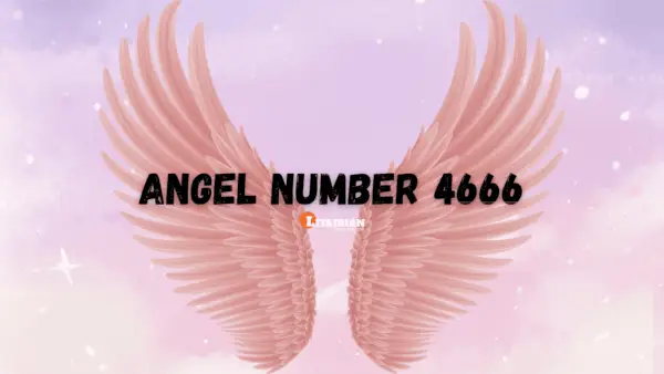 천사 번호 4666 의미와 의미