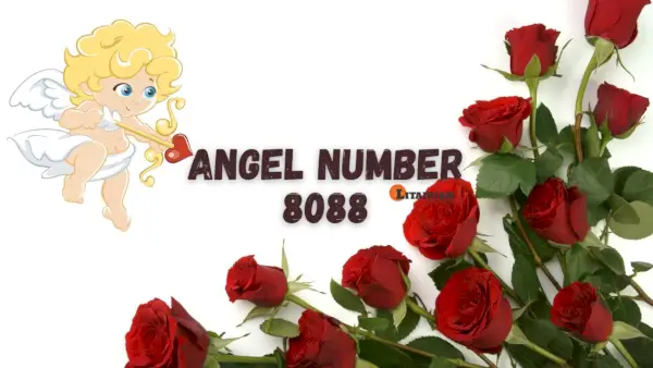 Anjelské číslo 8088 Význam a význam