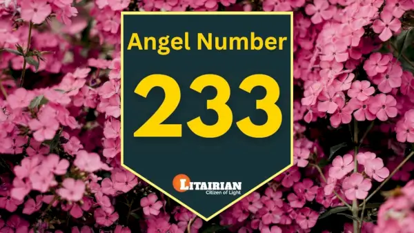 Engel nummer 233 Betekenis en betekenis