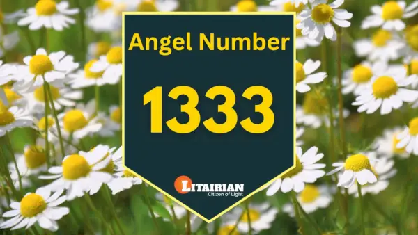 Significado y significado del número de ángel 1333