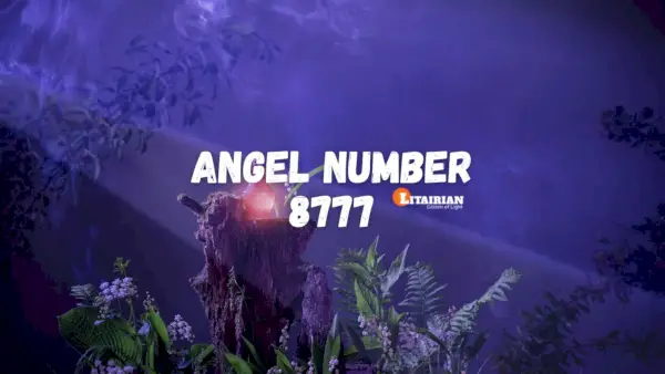 Anděl číslo 8777 Význam A Význam