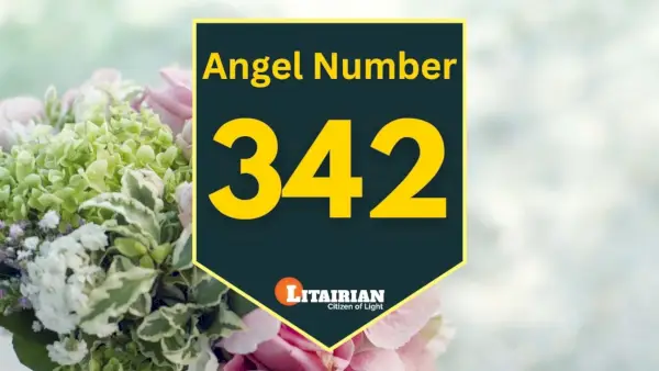 Anděl číslo 342 Význam A Význam