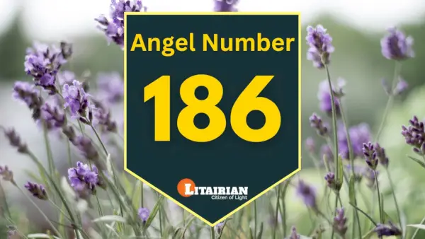 Angelo numerio 186 reikšmė ir reikšmė