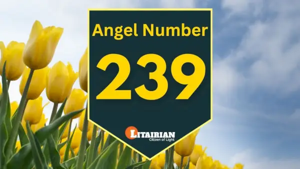 A 239-es angyal jelentése és jelentősége