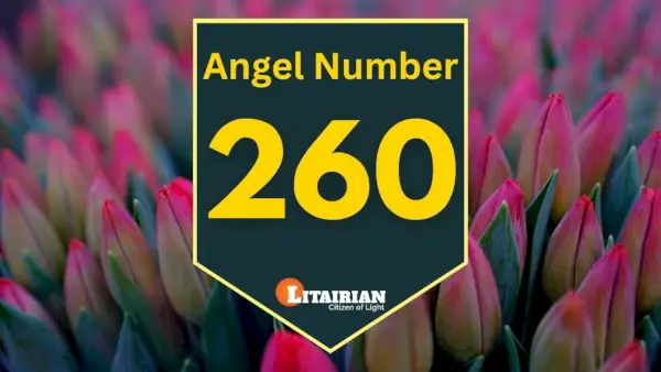 천사 번호 260 의미와 의미
